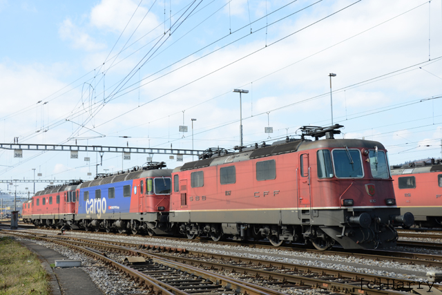 DUC_0174.jpg