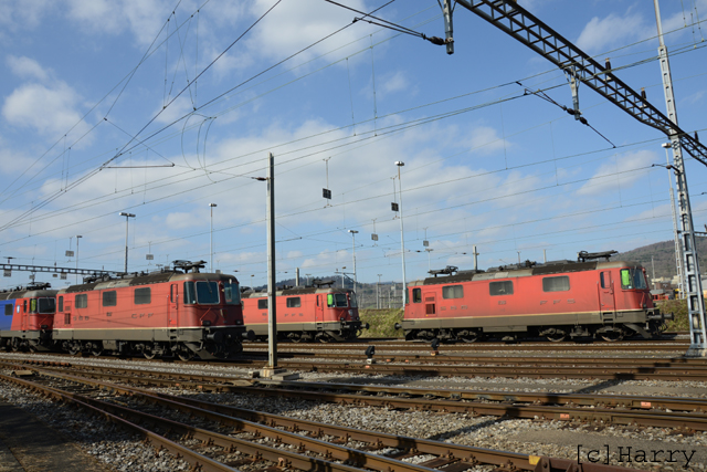 DUC_0179.jpg