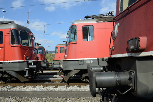 DUC_0193.jpg