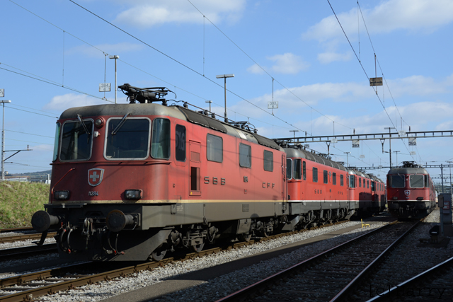 DUC_0202.jpg