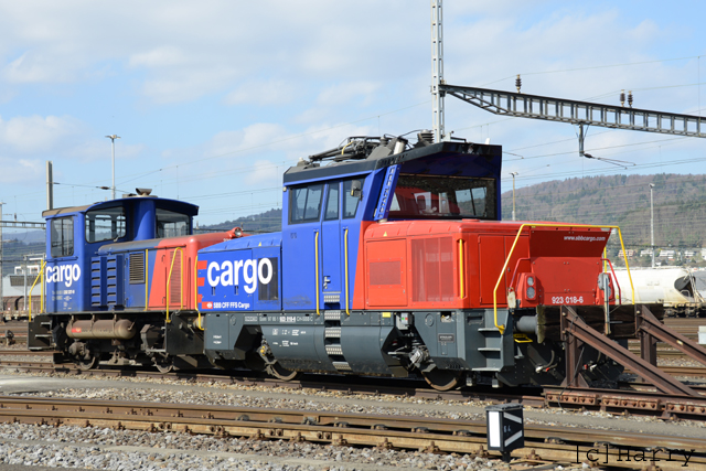 DUC_0275.jpg