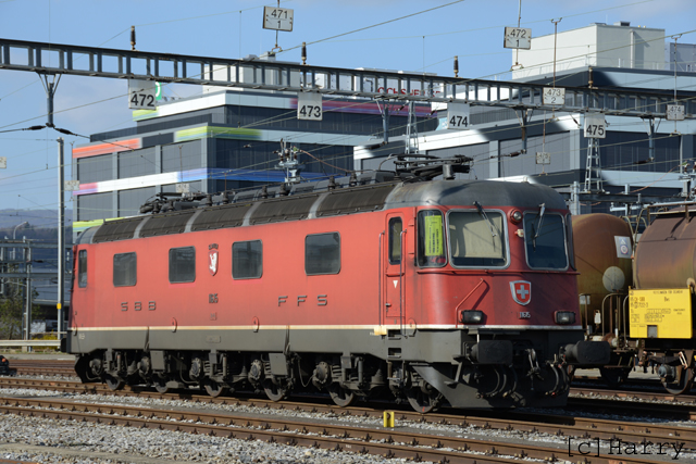 DUC_0299.jpg