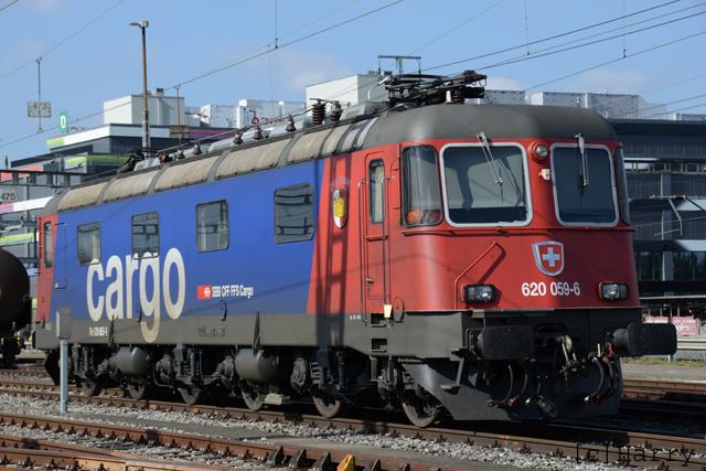 DUC_0310.jpg