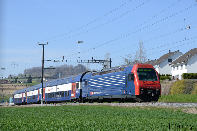 DUC_0591.jpg