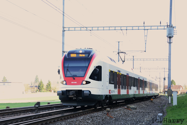 DUC_0725.jpg