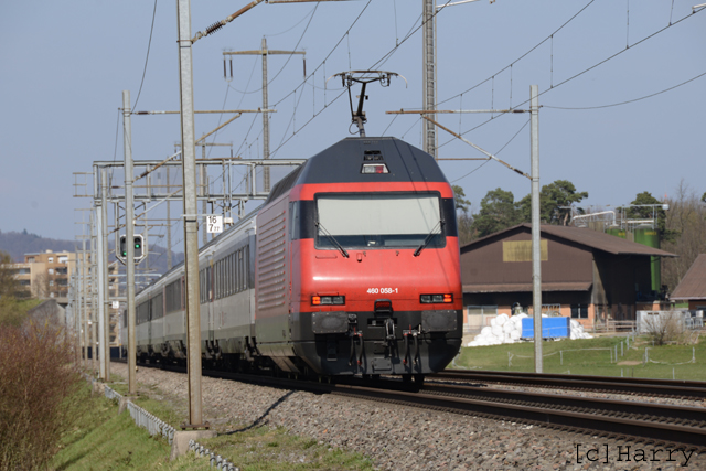 DUC_1404.jpg