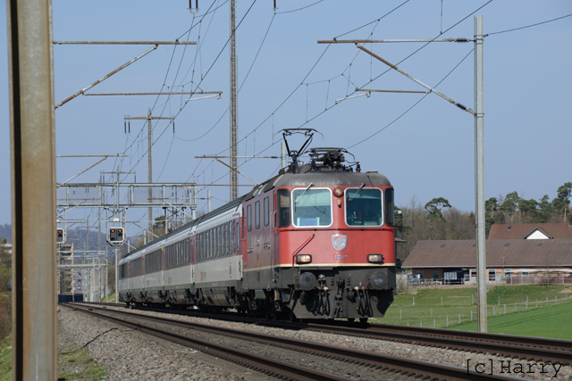 DUC_1416.jpg