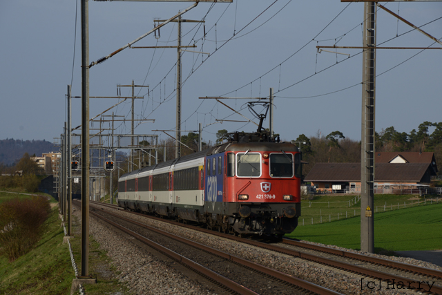 DUC_1721.jpg