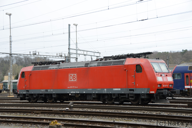 DUC_1779.jpg
