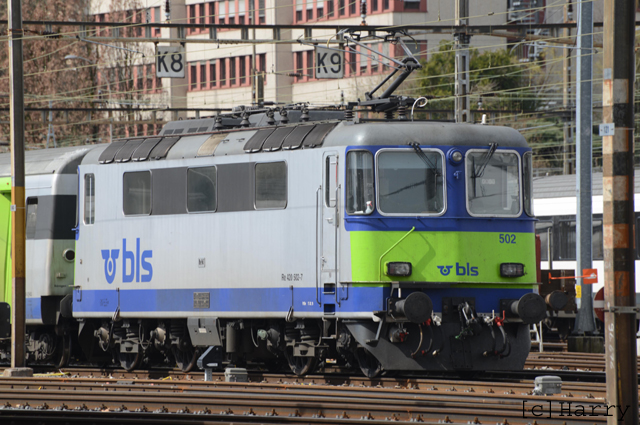 DUC_2529.jpg