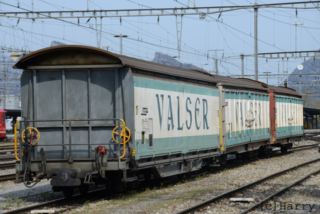 Haik-v 5121
