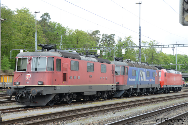 DUC_8772.jpg