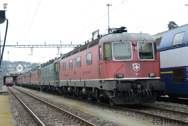 DUC_8848.jpg