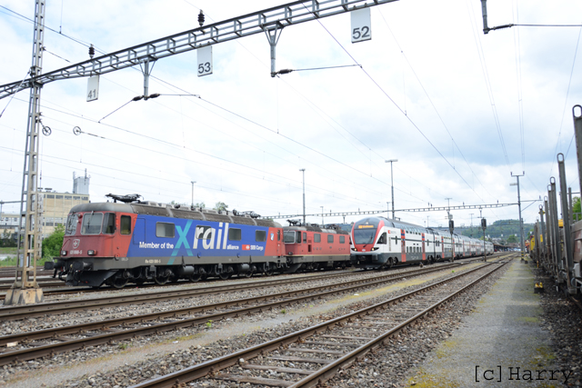 DUC_8946.jpg