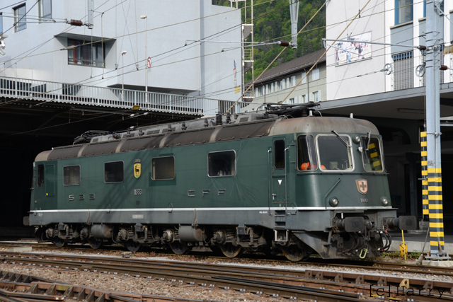 DUD_5490.jpg
