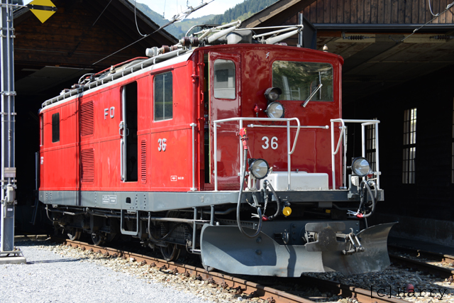 HGe 4/4I 36
