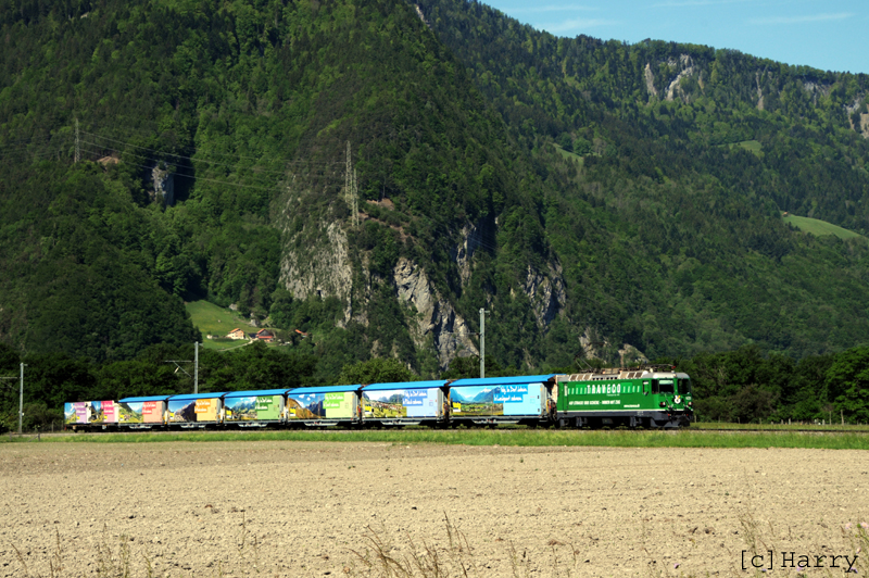 DVM_1254.jpg
