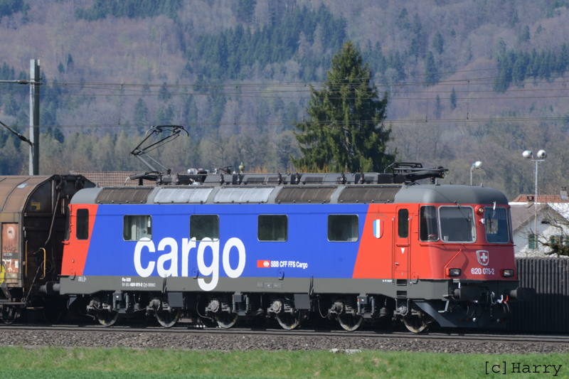 DVY_4056.jpg