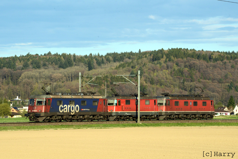 DVY_4917a.jpg