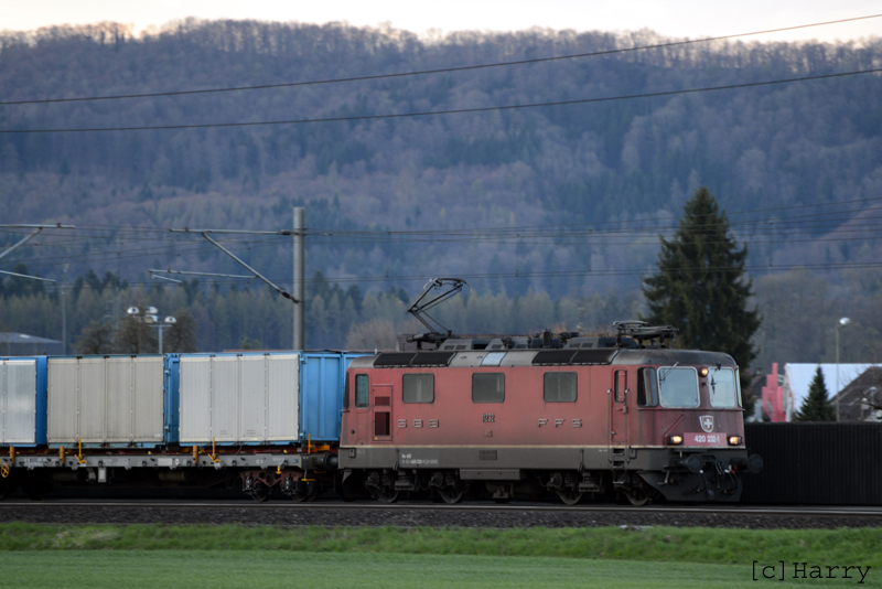 DVY_5264a.jpg