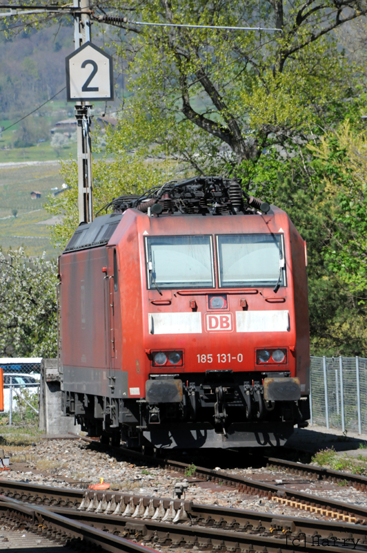 DVY_6703.jpg