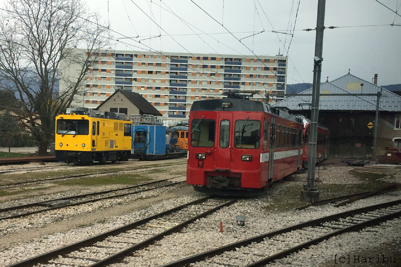 IMG_3454a.jpg