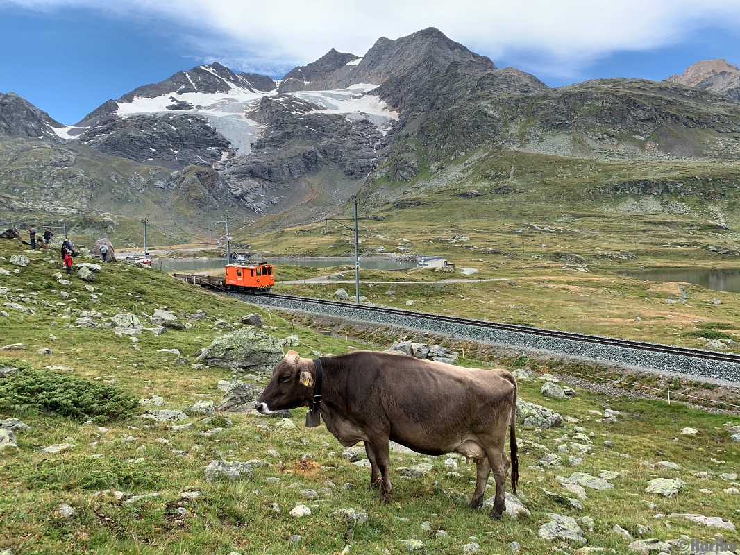 De 2/2 151
23.03.2023 Ausrangiert, Verkauf an Club 1889 / Wohlis Kutschbetrieb Pontresina
