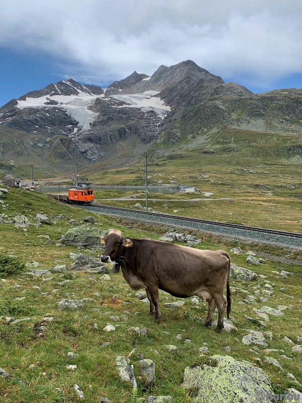 De 2/2 151
23.03.2023 Ausrangiert, Verkauf an Club 1889 / Wohlis Kutschbetrieb Pontresina
