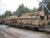 Dateiname=8239 Rp-w.jpg
Dateigröße=328KB
Abmessungen: 640x480
hinzugefügt am: 06. März 2007 8239 Rp-w.jpg