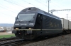 Dateiname=DUC_1118.jpg
Dateigröße=204KB
Abmessungen: 640x427
hinzugefügt am: 30. April 2014 DUC_1118.jpg