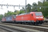 Dateiname=DUC_8725.jpg
Dateigröße=286KB
Abmessungen: 640x427
hinzugefügt am: 30. April 2014 DUC_8725.jpg